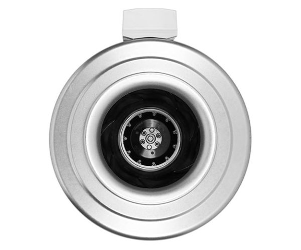 K 250 L - Image 3