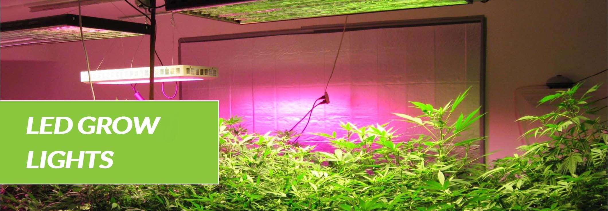 led-light-grow