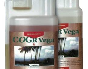 CANNA COGR VEGA 1L SET (A+B)