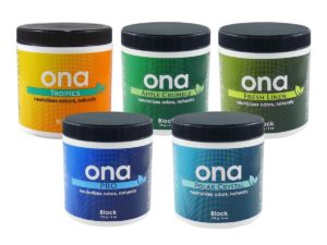 Ona Blocks