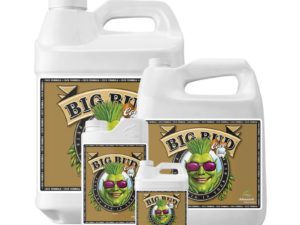 Advanced Nutrients Big Bud Coco